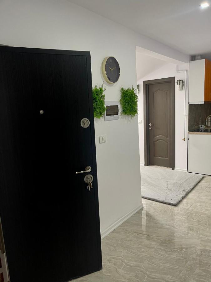 Cozy Apartament With 2Rooms Timisoara Exterior foto